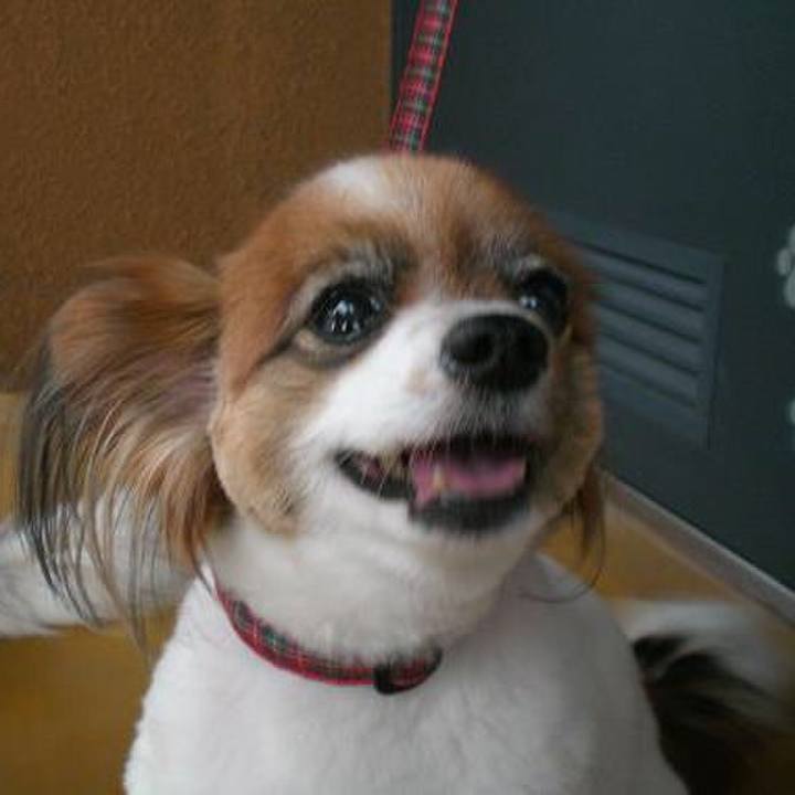 66e69933 6a44 4144 8eee 00f5b34ed39e