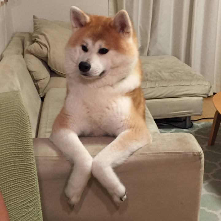 66e70ed5 702a 4575 a058 da1d25c353c0