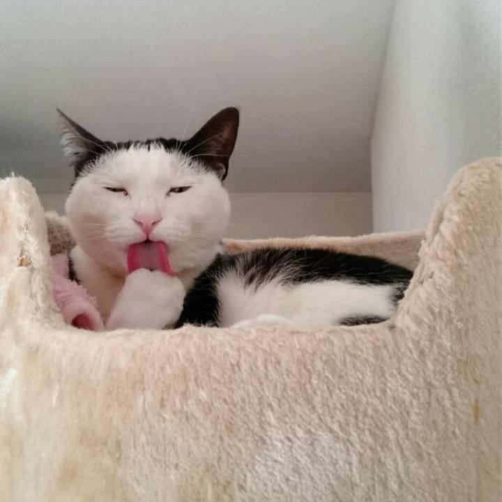 66e711a1 57a2 4ea0 88f4 f39cacf46724