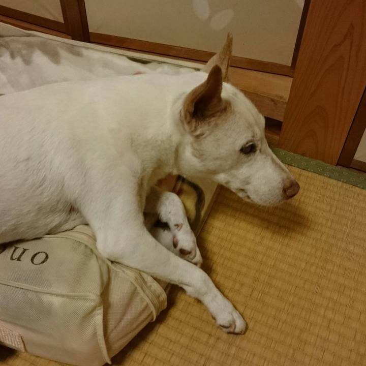 66e8fbc3 02a1 4461 88d8 a3035c7bd51d