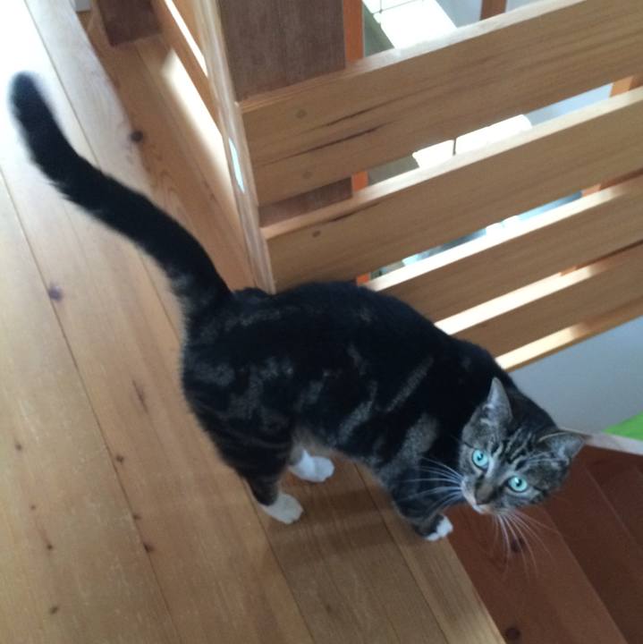 66e90ebf d00c 41d0 9787 aeb10497b428