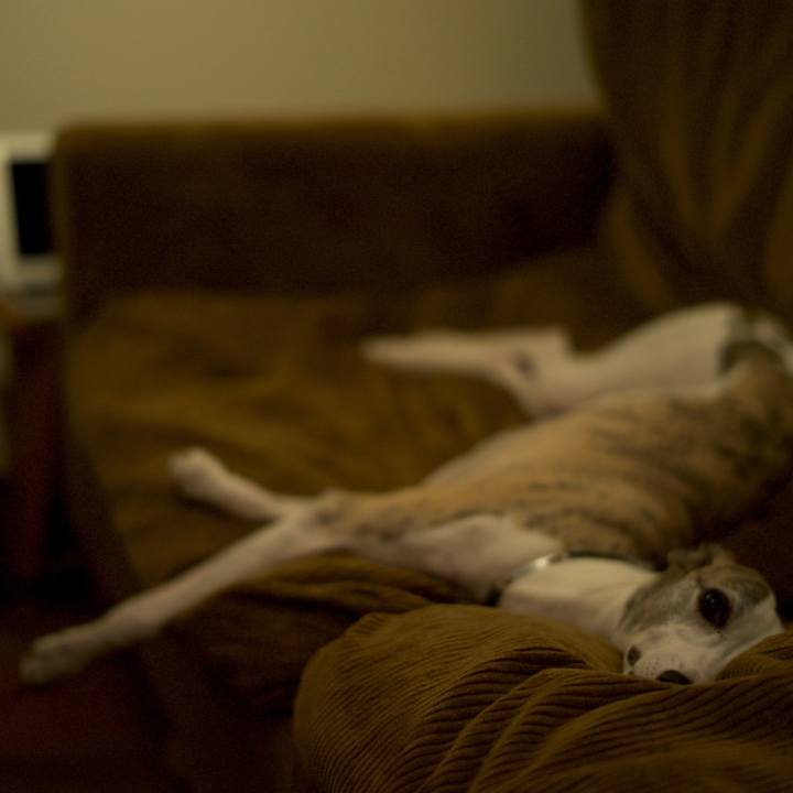 66e98b90 8d81 44a8 94af 79e39fc6b3fc