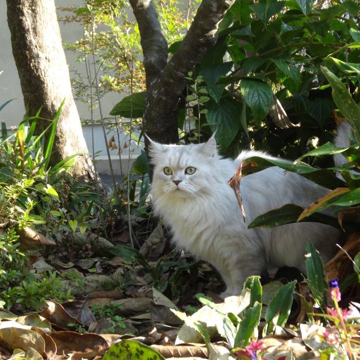 66e9bc71 64b5 4404 ae47 5621243c9415