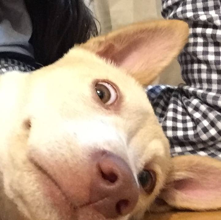 66ea3225 8306 42f2 85d7 c52ada47d2f8