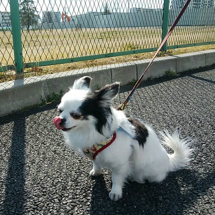 66ea6169 e33e 4053 bef9 bd3f91979074