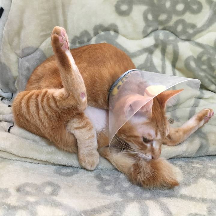 66ea6df1 1d9b 4bd5 94e4 d9b782565385