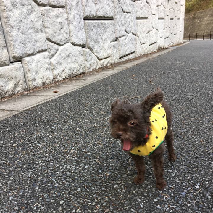 66ea8efb 7148 4d0f 97e5 33b8d6bbb28c