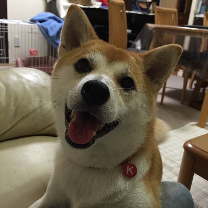 66ea9aab 8819 43cd 8ac7 2c3b29303ad5