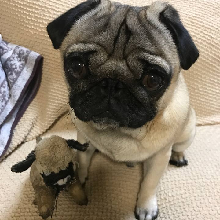 66ec0ce6 a3e2 4438 8191 88cbae35182b