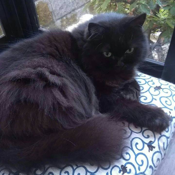 66ec3f76 7222 4389 b548 c9ea6ade0f29