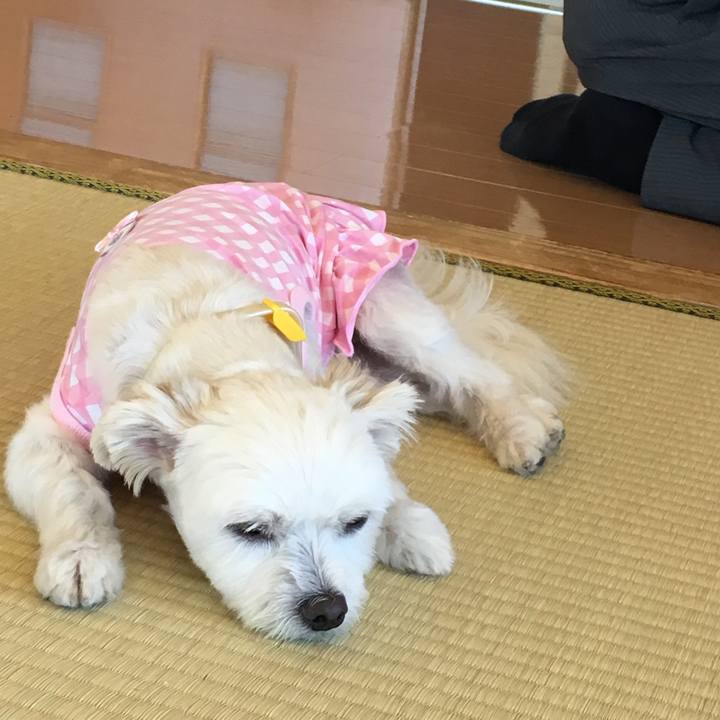 66ec8126 299c 4a1b 86ae 0d1ec2ed2686