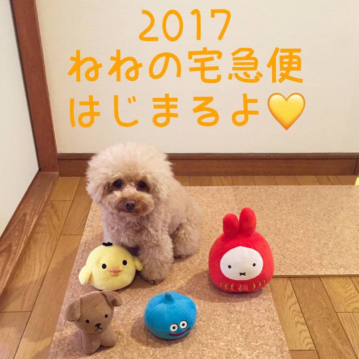 66ec96d6 6763 45d8 9e53 47542e15dd20