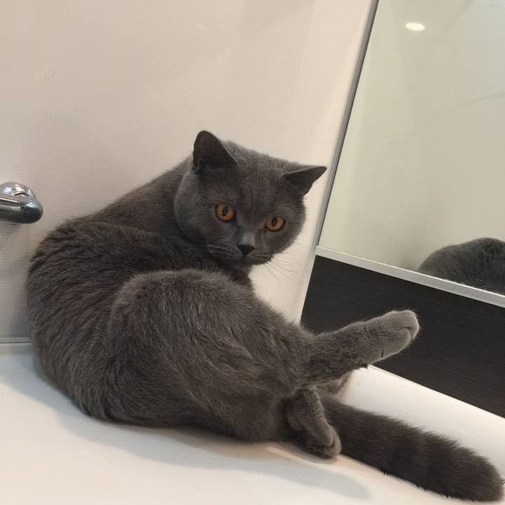 66ecd59d 7c04 4de6 82da 7c3f5a87078f