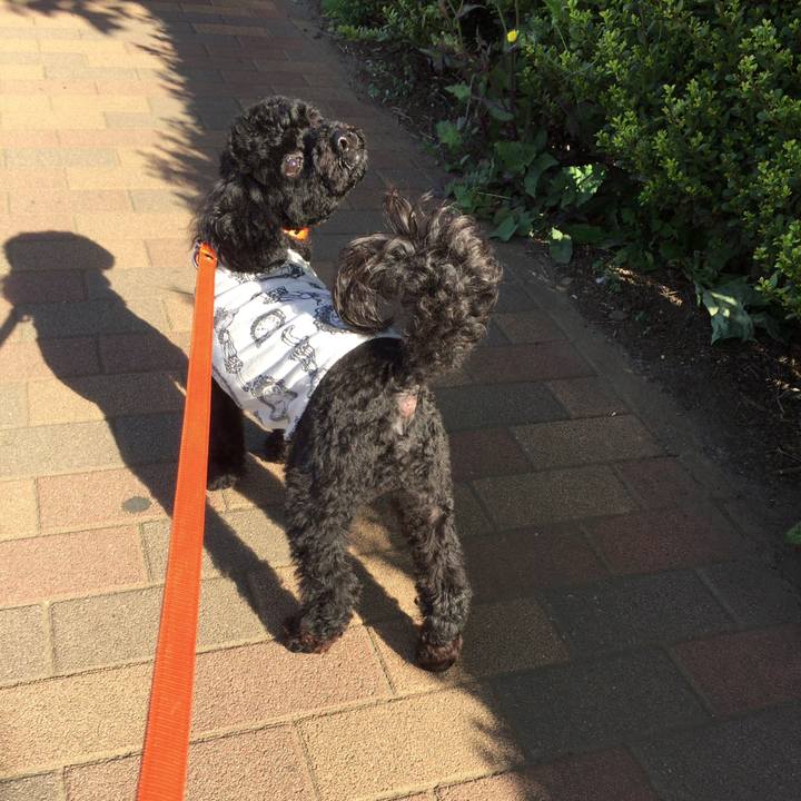 66ed03f0 4b92 4f27 9672 7779ce101167