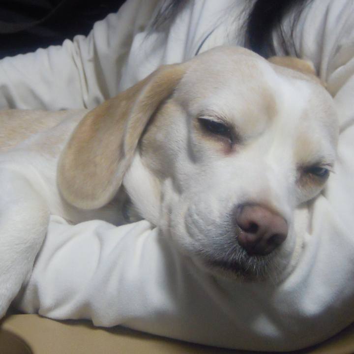 66ed0a75 69da 452d 8b8f dc31278e14da