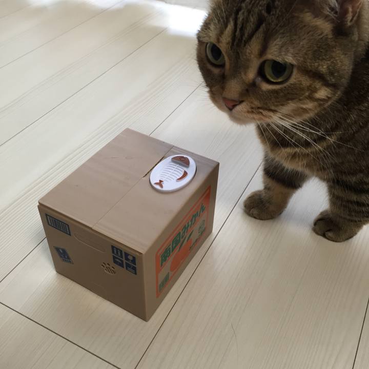 66ed61ef 0575 4331 ba6a 22f16daa4f8f