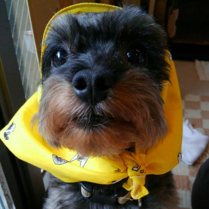 66edb2cb cab1 428a b210 c6be8f1e2e30