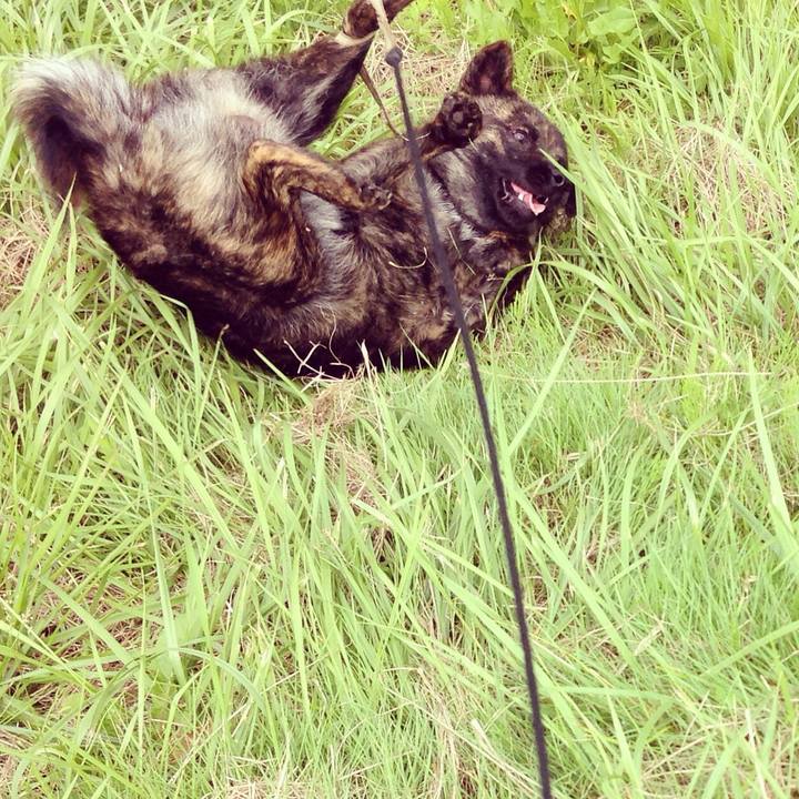 66ee3b55 d789 4090 af89 154e8c42f28b