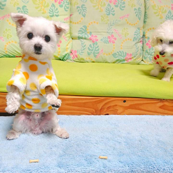 66eeafa5 76ef 4de0 91c2 23b73743cc36