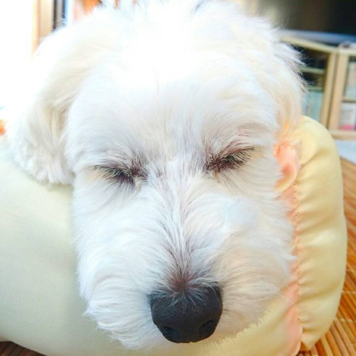 66ef04c9 668b 42b2 9881 f424156f030f