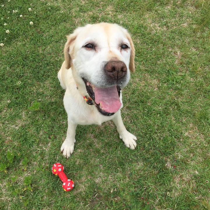 66ef1a6a f6e7 425e 87ea 0e68b1542f9e