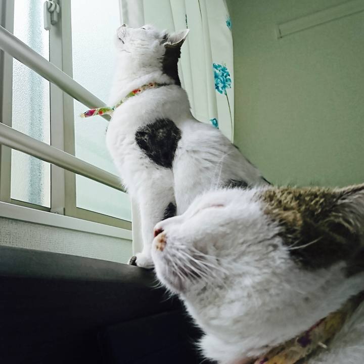 66f04a89 523f 4b07 89da d5e0b5ccfa58