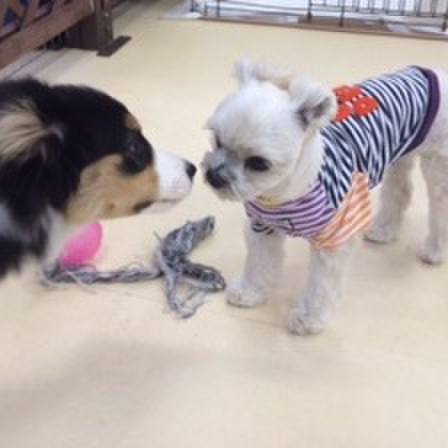 66f0abcb 4aac 4b28 bfb9 c215ed221b89