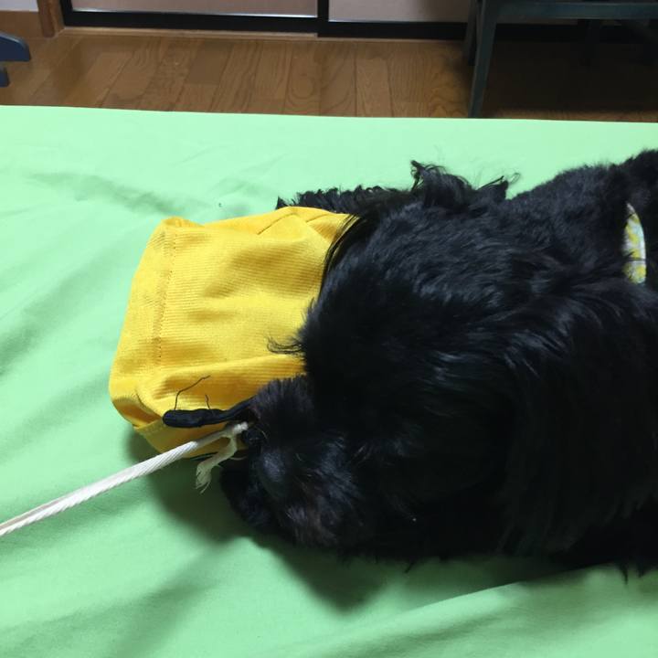 66f0ba21 532f 4fd0 a338 acdb9e6be1ae