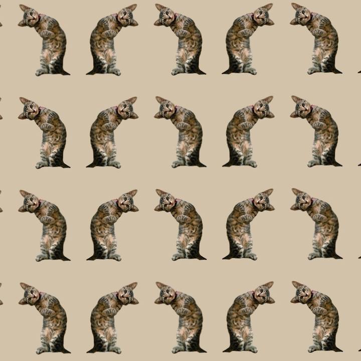 66f168d1 cd36 4243 aea5 c63686bb1bbd