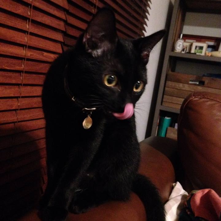 66f17afd 52b0 4f24 b040 f1a61b89869f