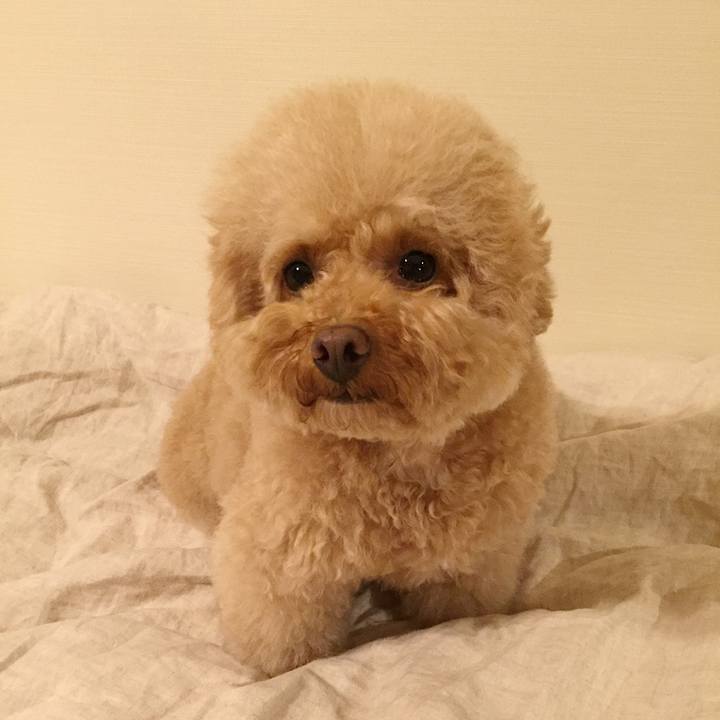 66f1ebfd f01e 4bd8 b2b2 7ab8428854dd