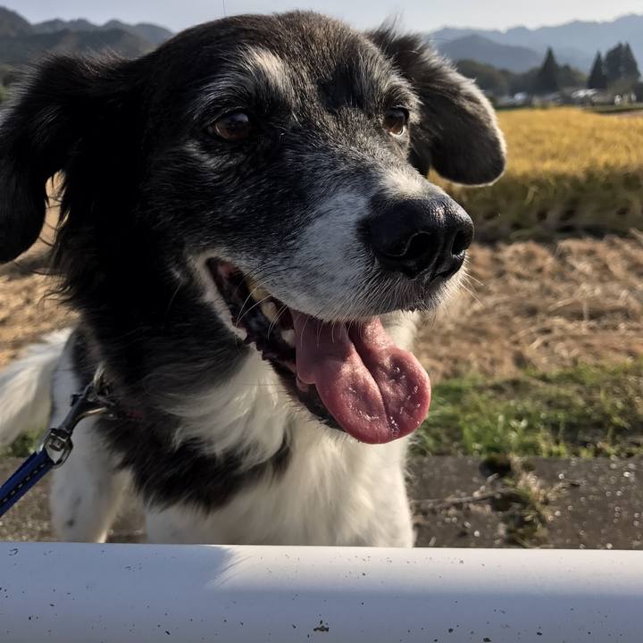 66f27613 e9d7 4109 aeb1 7a84d678cf16