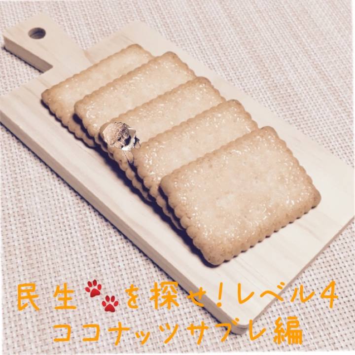 66f2790a cada 4a03 bcfe 35bdae984c07