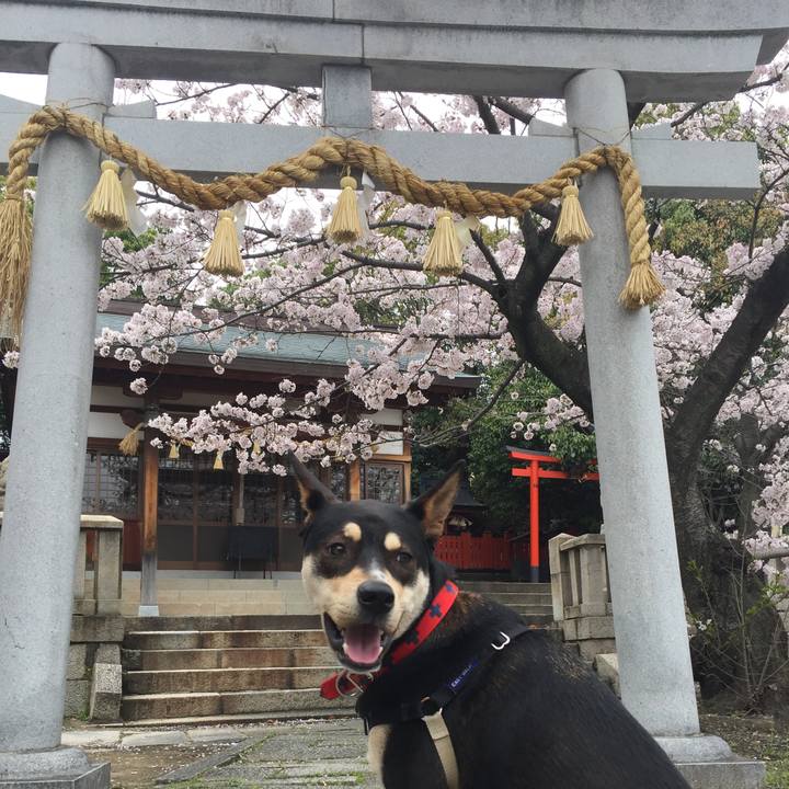 66f29a3c 0857 40d4 be29 e9fc334bd63a