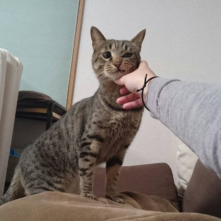 66f2caf0 75db 4461 b8ea ddc469a1c88c