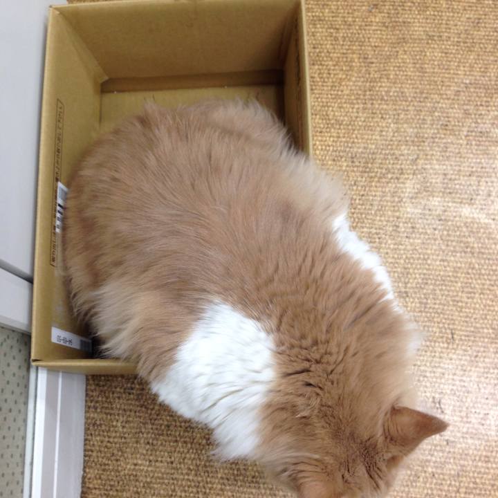 66f37b00 f584 446f aaa9 c5b936427795