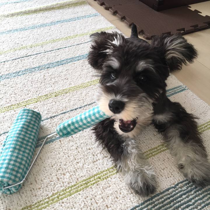 66f3a267 d3e2 4900 ad11 d4b2c541775d