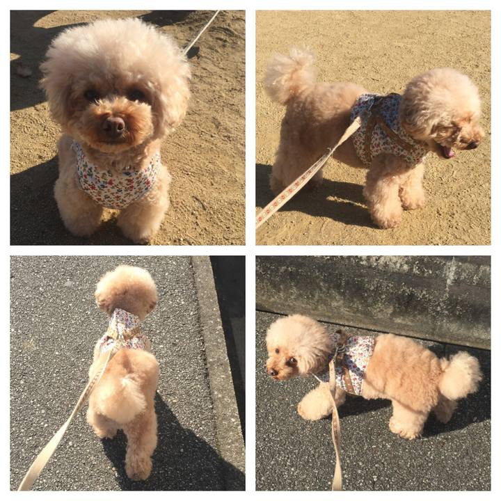 66f458f8 3547 44be ab9b 08d60c7da890