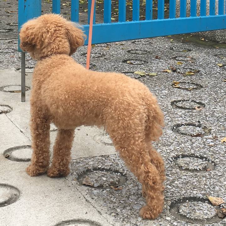 66f46986 fba5 4ccd be80 afbf4fc83712