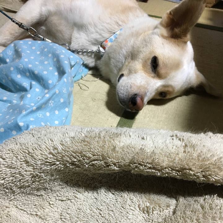 66f4a1bb 4fc3 41cf 9197 354778cf8442