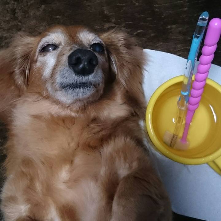 66f5c50c 858f 4c9e b757 60cf5f697f4f