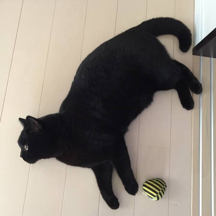 66f613f5 0a4c 4547 a96e 424447e945fb