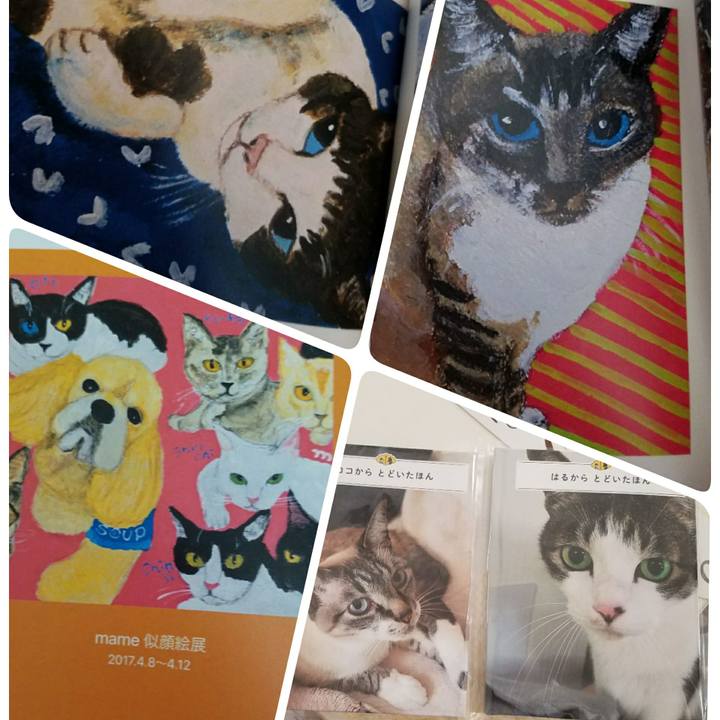 66f6992e afcc 4938 aaee 68aad3deaf46