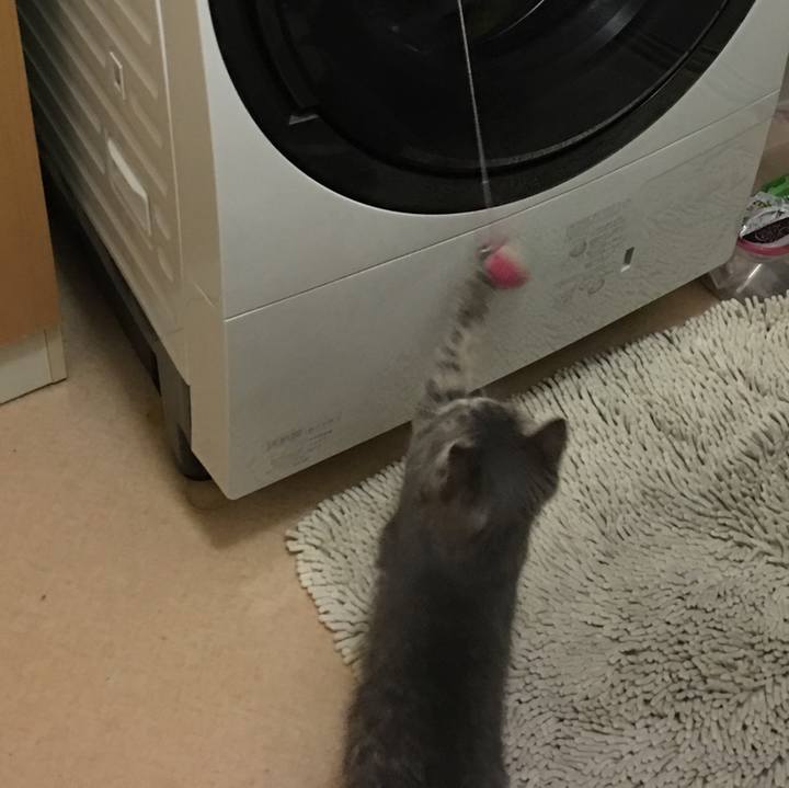 66f6a2ef 65a4 4cf6 8f86 6037de271d26