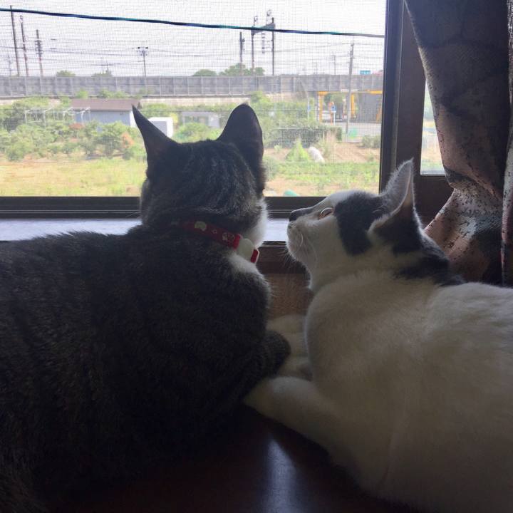 66f7239f 90a4 4770 8d2e 568130117e43