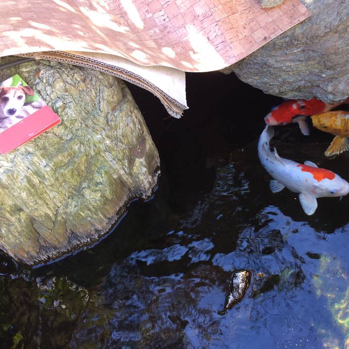 66f7785c 6fa5 4050 befb eafca30b448f