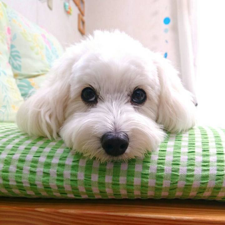 66f7afc8 9a64 41a6 83bb c11f704084a8