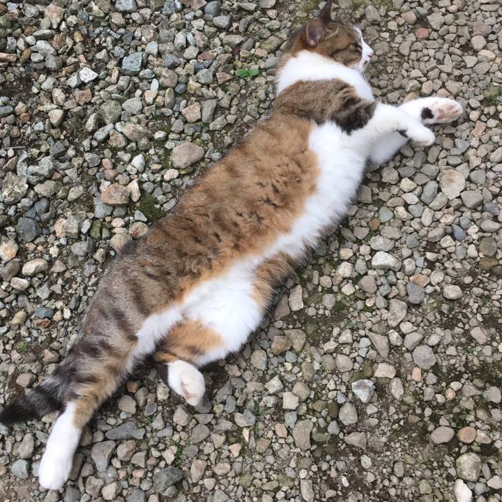 66f7e9cb 663b 471c 983a f5d77c1d0d93