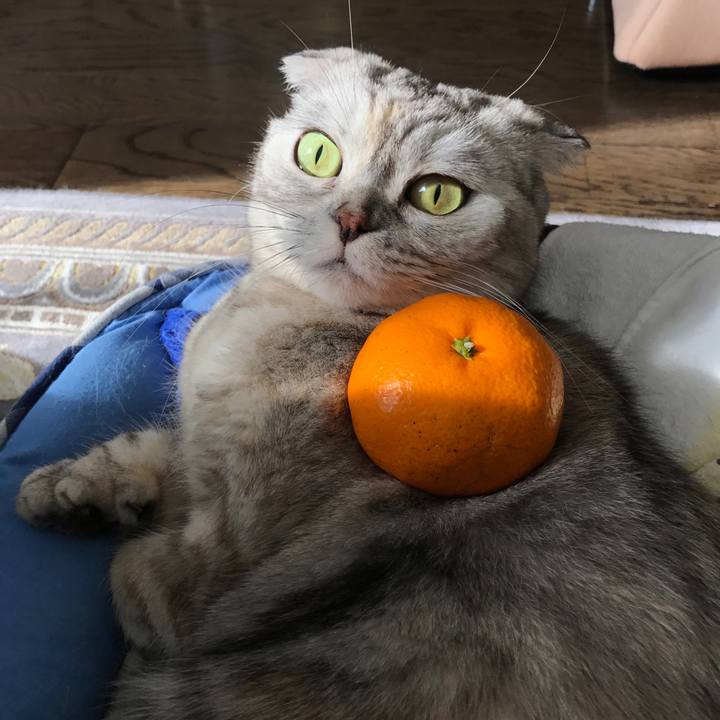 66f814c9 920e 405d b2b5 89d262de1a14