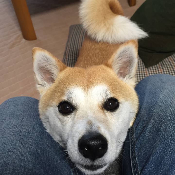 66f8623e d6bb 49ae 951a 53359609de9f